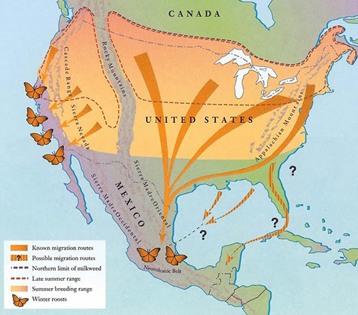 Monarch Migration Map